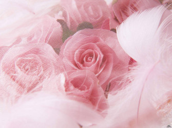 Top Wedding Aesthetic Wallpaper Full HD 4k To Use