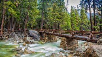 Wallpaper Yosemite 5k 4k 8k Forest Osx Apple