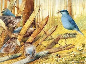 Backyard Birds Beautiful Paintings Small Bird Illustration