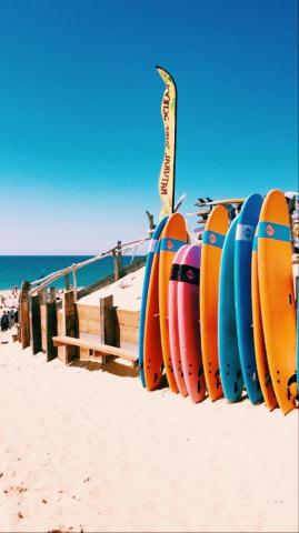 Summer Surfing In Hossegor Beach Wall Collage