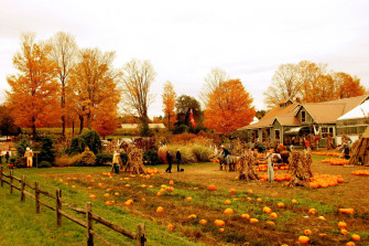 Farmhouse With Pumpkin Crops 699ubga572z7ni6z Wallpaper