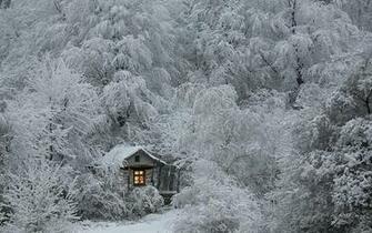 HD Tiny Cabin In The Woods Wallpaper