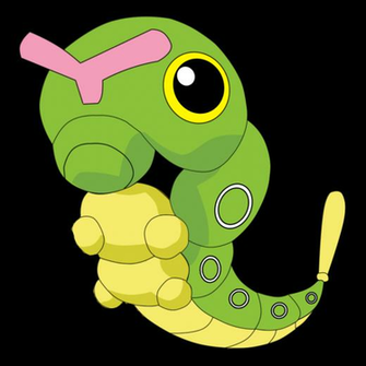 Caterpie Google Search Pokemon HD Widescreen