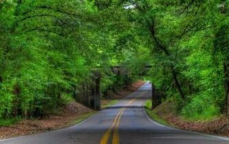 Green Forest Stone Bridge Road Wallpaper