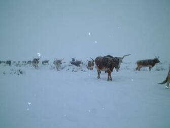 Winter Weather High Resolution HD Wallpaper General