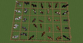 Minecraft Horse Colors Breeds And Racing