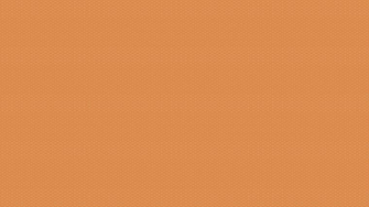 Vans Waffle Sole Desktop Wallpaper