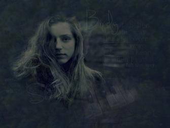 Birdy Blend Desktop And Mobile Wallpaper Wallippo