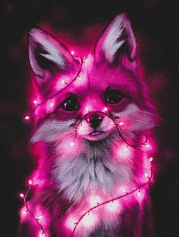 Pink Fox Cute Animal Photos Small Animals Fantasy