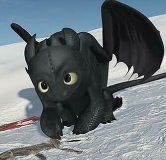 Cute Toothless Dragon Wallpaper Image Pictures Becuo