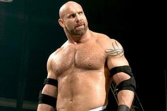 Bill Goldberg Wallpaper Biography Age Height Weight