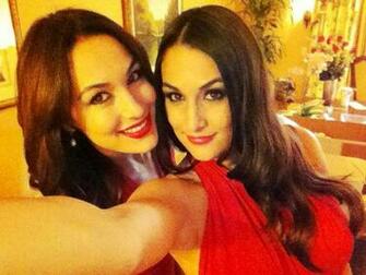 Bella Twins Nicole And Brianna At Home