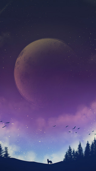 Night Sky Moon Forest Scenery Background 4k Wallpaper iPhone HD