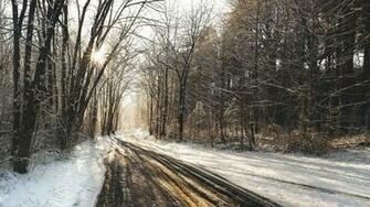 Sunny Winter Day Wallpaper
