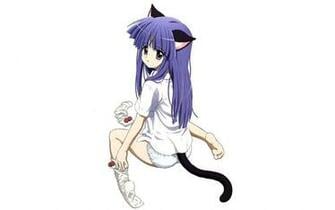 Anime Wallpaper Cat Girl