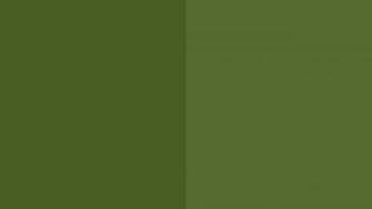 Resolution Dark Moss Green And Olive Solid