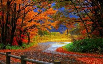 Fall Wallpaper