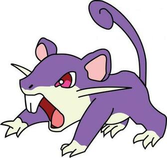 Rattata