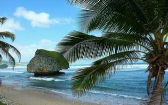 Barbados Wallpaper