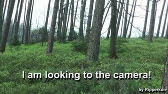 Ghillie Suit Wallpaper