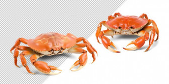 Premium Psd Wallpaper