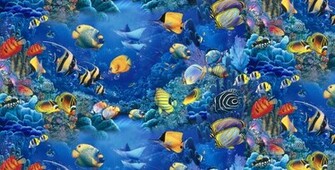 Quilt Fabric Elizabeths Studio Children Of The Sea Quiltersjoy