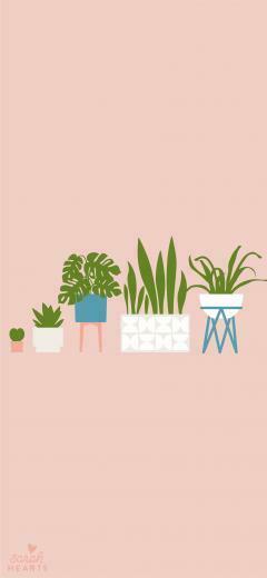 House Plant August Calendar Wallpaper Sarah Hearts