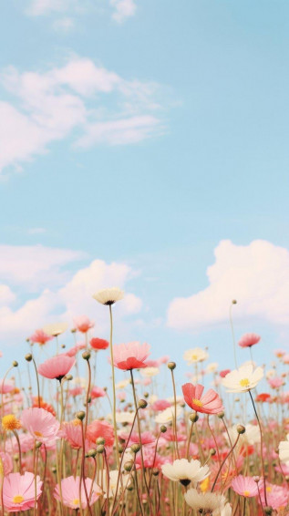 iPhone Wallpaper Pink Aesthetic HD 4k Mobile Phone Image