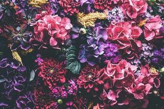 Gorgeous iPhone Plus Wallpaper Part Preppy
