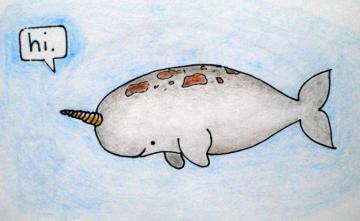 Narwhal Wallpaper Id Wallpapervortex