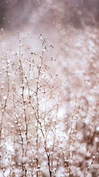 Gorgeous Winter Wallpaper For iPhone