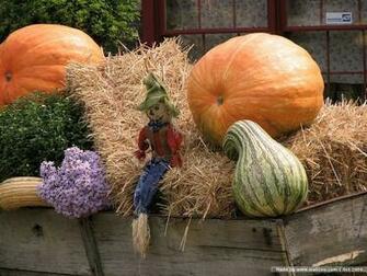 Autumn Display Scarecrow Pumpkins Wallpaper
