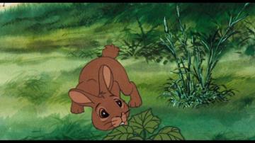 Watership Down Blu Ray Martin Rosen