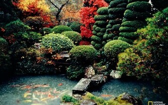 You Are Ing The Landscape Wallpaper Named National Geographic