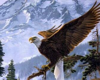 Bald Eagle High Quality And Resolution Wallpaper On