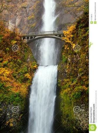 Waterfall Multnomah Falls In Oregon Stock Photos Image Pic