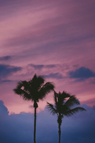 Pink Purple Aesthetic Best Background And