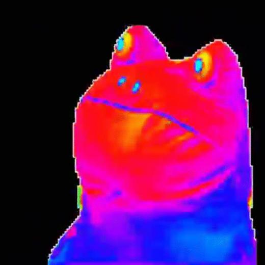 Woof Speed Up Mlg Frog Gif Mario Bross