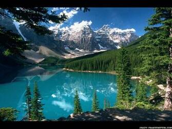 Beautiful Forest Wallpaper Image At Clker