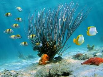 Punta Cana Turismo