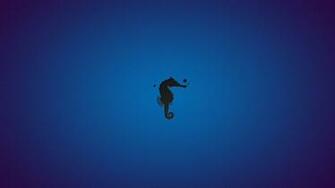 Seahorse Wallpaper By Fernandoperigolo