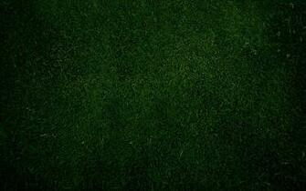 Grass Sniperyu Screensaver Plain Wallpaper Tuesday
