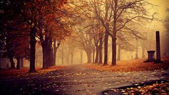 Park In Autumn Desktop Pc And Mac Wallpaper