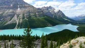 Wallpaper Peyto Lake Alberta Canada Desktop