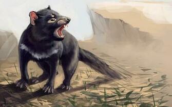 Wallpaper Art Tasmanian Devil Animal