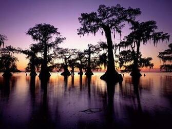 Louisiana The Bayou