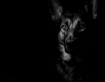 Gsd Wallpaper Posted By Ethan Walker