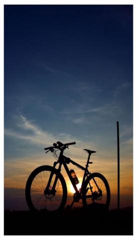 Mountain Bike Bicycle Wallpaper
