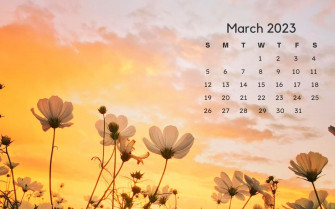 March Calendar Wallpaper Tubewp