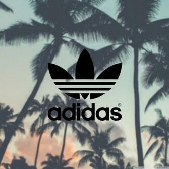 Adidas Palm Trees Background 4k HD Desktop Wallpaper For